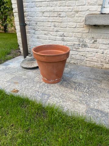 Bloempot beschikbaar voor biedingen