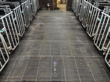 Driekant leenders roosters [744]  beschikbaar voor biedingen