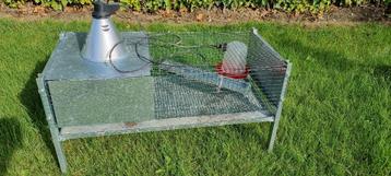 cage elevage beschikbaar voor biedingen