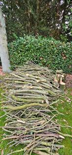 brandhout eik, Tuin en Terras, Minder dan 3 m³, Ophalen, Overige houtsoorten, Takken