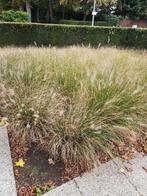 Sierkiezels, Tuin en Terras, Grind, Keien en Split, Ophalen, Grijs