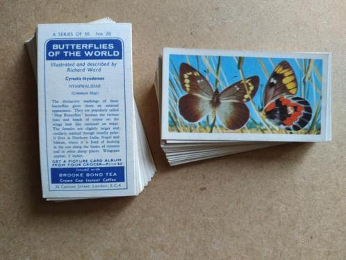 Butterflies of the World complete set 50 chromos vlinders, Collections, Photos & Gravures, Animal, 1960 à 1980, Enlèvement ou Envoi