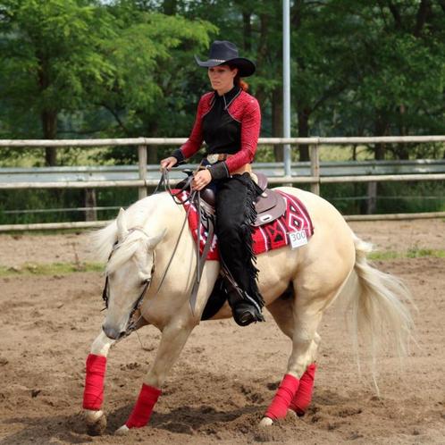 Zomerbootcamp/Lesweek, Dieren en Toebehoren, Paarden, Zadelmak