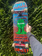 Professioneel skateboard, Ophalen of Verzenden, Gebruikt, Skateboard