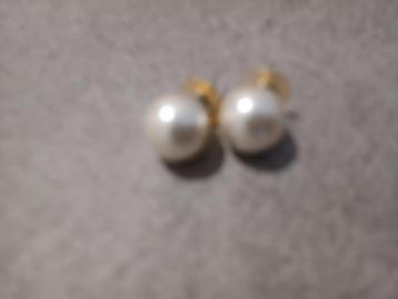 Pareloorbellen - eerder grote parel - prijs voor 2 paar. beschikbaar voor biedingen