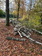 Groot lot brandhout berk te Vorselaat, Tuin en Terras, Brandhout, Ophalen, Stammen