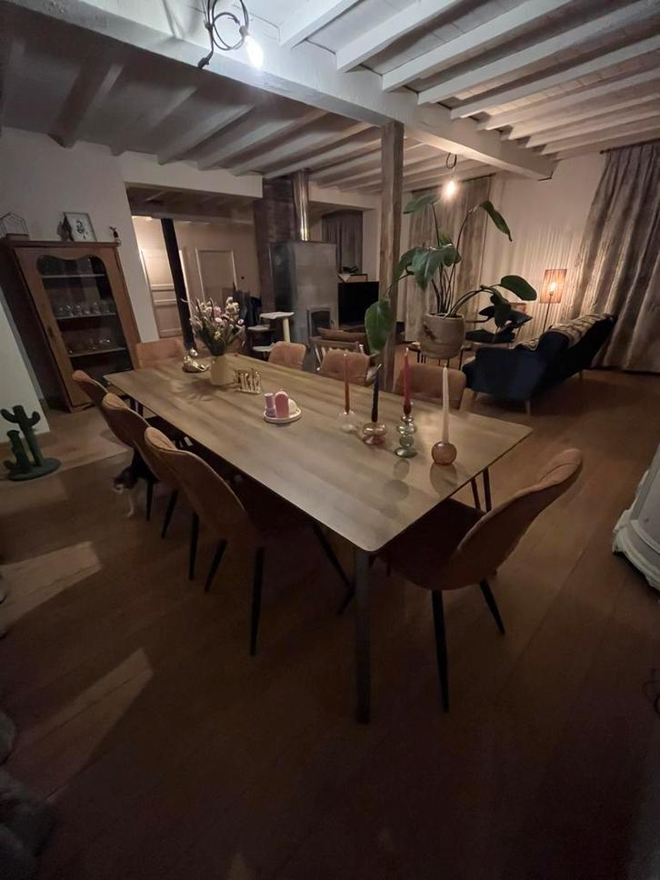 Eettafel (8pers) + 8 stoelen, Huis en Inrichting, Tafels | Eettafels, Gebruikt, 100 tot 150 cm, 200 cm of meer, Vijf personen of meer