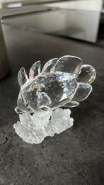Swarovski vlindervis op koraal, Verzamelen, Swarovski, Ophalen, Nieuw