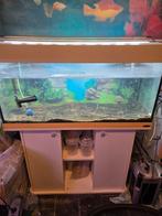 A vendre  aquarium  100cm x 52cm x 42 cm, Enlèvement ou Envoi