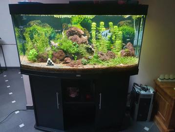 Aquarium met kast, Enlèvement, Comme neuf