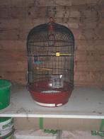 vogelkooi, Enlèvement, Utilisé, Synthétique, Cage à oiseaux