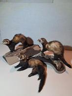 Putois en peluche. 65 chacun, Enlèvement ou Envoi