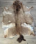 Dierenhuid vloerkleed, Ophalen, Gebruikt, 100 tot 150 cm, Bruin