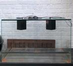 Te koop: Terrarium – €70, Dieren en Toebehoren, Ophalen, Gebruikt, Terrarium of Paludarium
