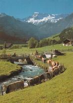 KOEIEN  in  ZUGLETE  ADELBODEN, Verzamelen, Postkaarten | Dieren, Verzenden, 1980 tot heden, Gelopen, Overige soorten