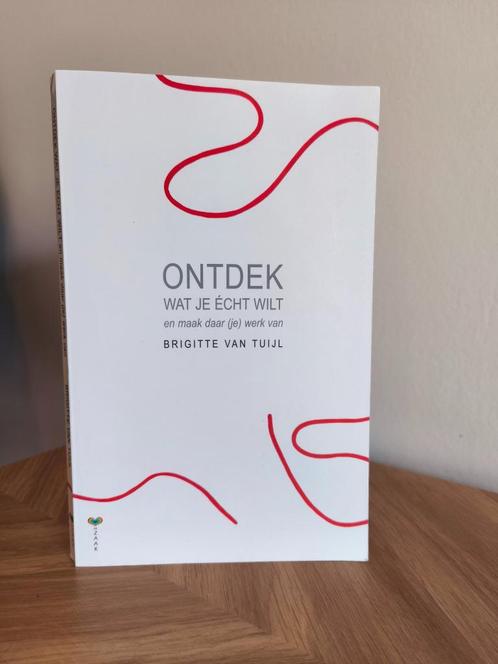 Boek 'Ontdek wat je écht wilt en maak daar (je) werk van', Boeken, Psychologie, Zo goed als nieuw, Overige onderwerpen, Ophalen of Verzenden