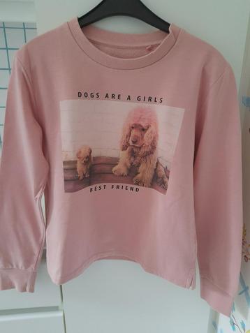 Sweater met hondjes beschikbaar voor biedingen