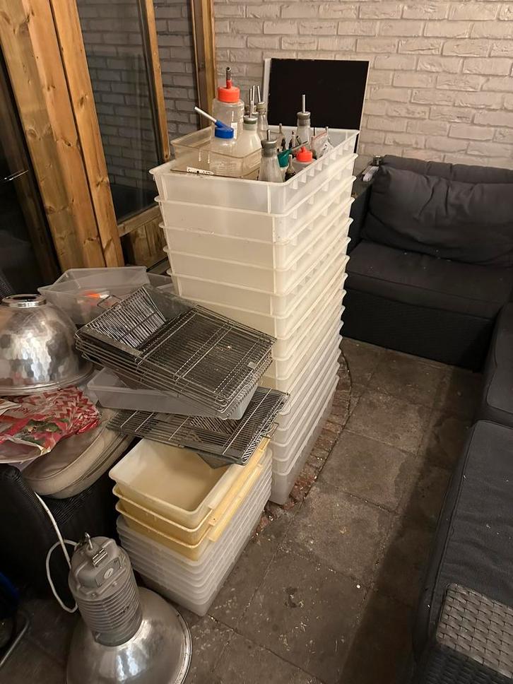 Labo bakken t3 t4, Dieren en Toebehoren, Reptielen en Amfibieën | Toebehoren, Zo goed als nieuw, Ophalen