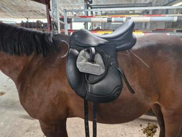 Tekna Letek 18inch beschikbaar voor biedingen