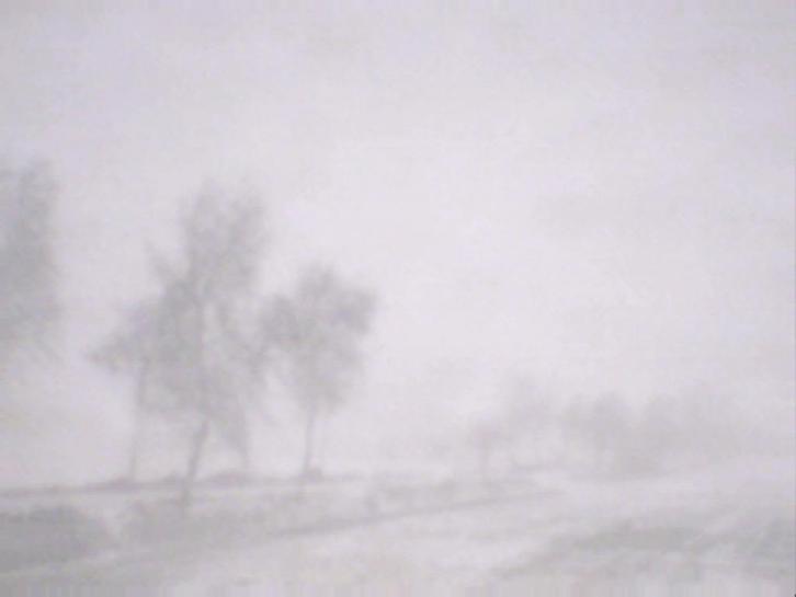 dag na zuiverheid, Antiek en Kunst, Kunst | Tekeningen en Fotografie, Verzenden