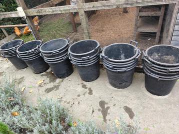 plantpot beschikbaar voor biedingen