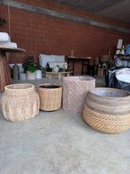 Bloempotten, Ophalen, Nieuw