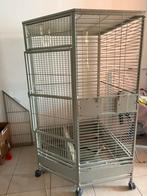Cage et perroquet a vendre ils sont baguée élevé a la mains, Ophalen, Zo goed als nieuw