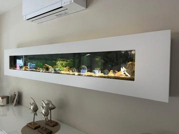 Modern wandaquarium - strak design beschikbaar voor biedingen