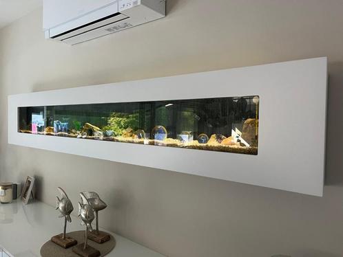 Modern wandaquarium - strak design, Huis en Inrichting, Woonaccessoires | Wanddecoraties, Zo goed als nieuw, Ophalen