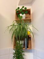 2 houten wandkisten (zonder planten), Ophalen, Zo goed als nieuw