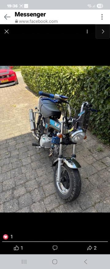 Honda dax chinois, Échappement sport, 1 cylindre, 125 cm³, Jusqu'à 11 kW