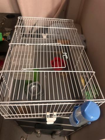 Kooi voor hamster, muis etc beschikbaar voor biedingen