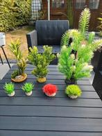 Ornamenten en plantjes aquarium, Ophalen, Zo goed als nieuw
