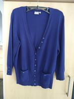 Gilet Green Ice.  maat L., Kleding | Dames, Truien en Vesten, Blauw, Maat 42/44 (L), GREEN ICE., Ophalen of Verzenden