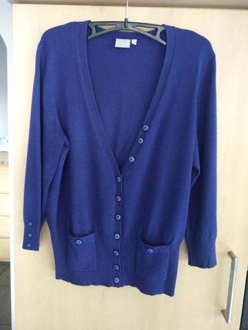 Gilet Green Ice.  maat L., Kleding | Dames, Truien en Vesten, Zo goed als nieuw, Maat 42/44 (L), Blauw, Ophalen of Verzenden