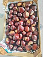 Verse kastanjes, Ophalen of Verzenden