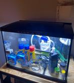 Aquarium 100l met toebehoren, Dieren en Toebehoren, Ophalen, Zo goed als nieuw