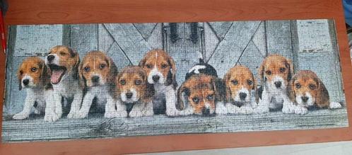 complet puzzle panoramique 1000pc Beagles chiots Clementoni, Hobby & Loisirs créatifs, Sport cérébral & Puzzles, Comme neuf, Puzzle