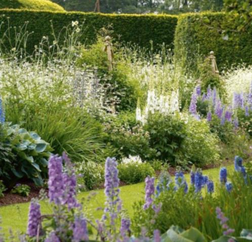 Tuinonderhoud *, Contacten en Berichten, Advies en Oproepen