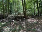 Gratis brandhout tot 5 cm uit het bos – om zelf te zagen, Ophalen