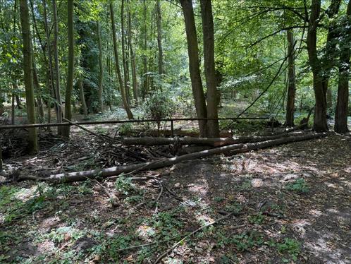 Gratis brandhout tot 5 cm uit het bos – om zelf te zagen, Tuin en Terras, Brandhout, Ophalen