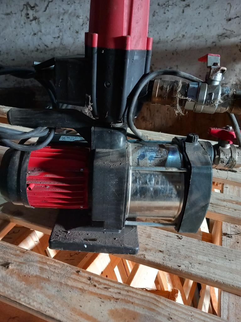 Verrast door de vorst? Wij helpen je verder!!, Articles professionnels, Articles professionnels Autre, Enlèvement