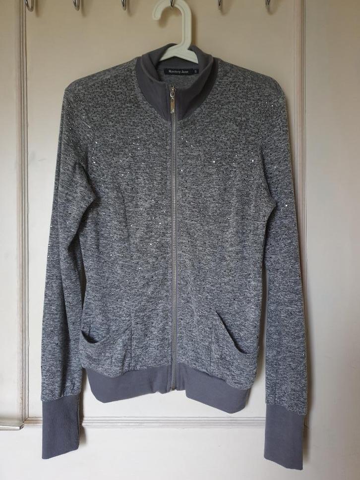 mooie stretch cardigan met rits grijs + strass zilver TU, Kleding | Dames, Truien en Vesten, Gedragen, Maat 38/40 (M), Grijs, Ophalen of Verzenden