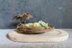 Opgezet pauwenkuiken - taxidermie, Ophalen of Verzenden