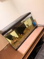 aquarium, Ophalen, Gebruikt