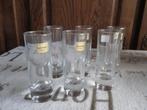 borrelglas 6x, Verzamelen, Ophalen of Verzenden, Nieuw, Borrel- of Shotglas