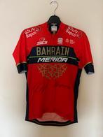 Koerstrui gesigneerd Vincenzo Nibali, Vélos & Vélomoteurs, Accessoires vélo | Vêtements de cyclisme, Enlèvement ou Envoi, Comme neuf