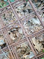 4x Betonijzer 8mm 5m op 2m, Doe-het-zelf en Bouw, Ophalen