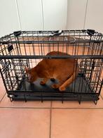 Bench, Dieren en Toebehoren, Ophalen, Zo goed als nieuw