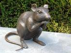 un rat en bronze , taille naturel ..., Enlèvement ou Envoi, Bronze